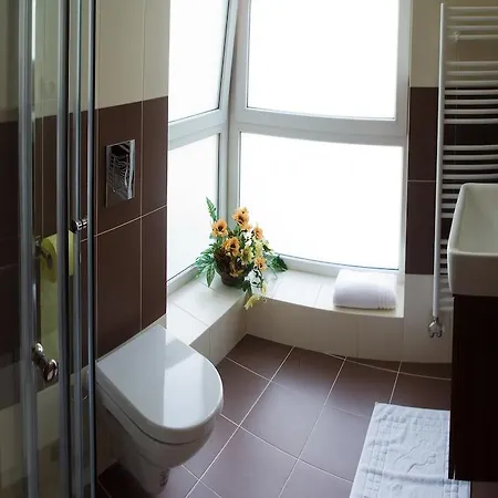 Benedikti 프리에비드자